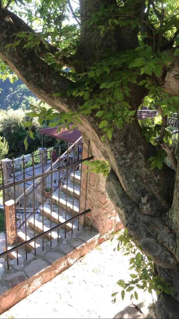 Holiday Home La Musica Budva Værelse billede